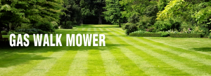 Gas Lawnmowers